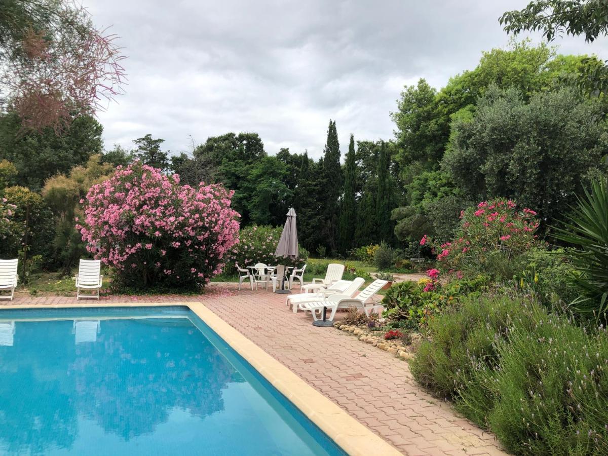 Duplex 130M2 Dans Un Mas Entoure De Vergers - Piscine Saint-Feliu-d'Avall Exterior photo